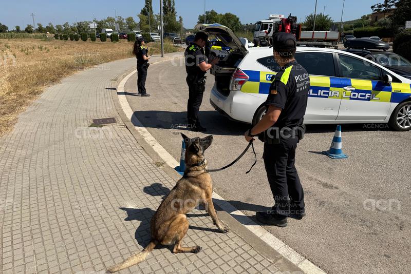 Palafrugell detecta un increment de la venda de droga a domicili a l'estiu per la pressió policial al carrer 