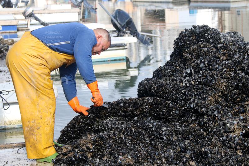 El nombre d'aturats augmenta un 2,19% al juliol a Tarragona i l'Ebre, fins a les 36.331 persones que busquen feina