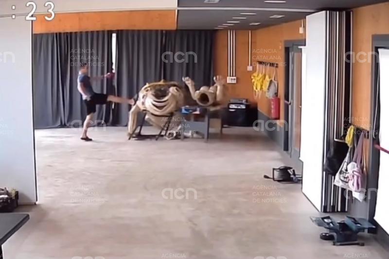 Els Diables de Sant Pere Nord de Terrassa denuncien un acte vandàlic a la seva seu contra una de les seves bèsties