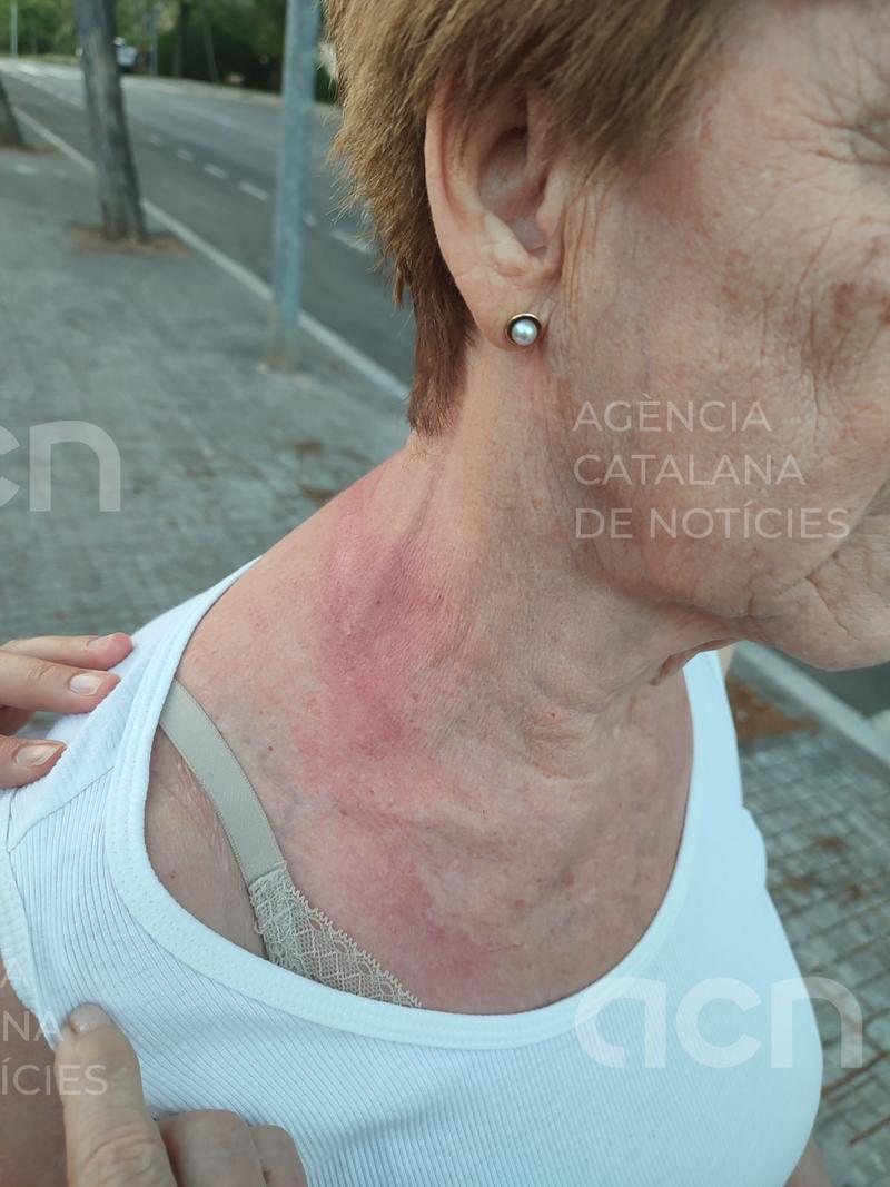 Detingut un home per dos robatoris violents a persones d'edat avançada a Gavà i Viladecans