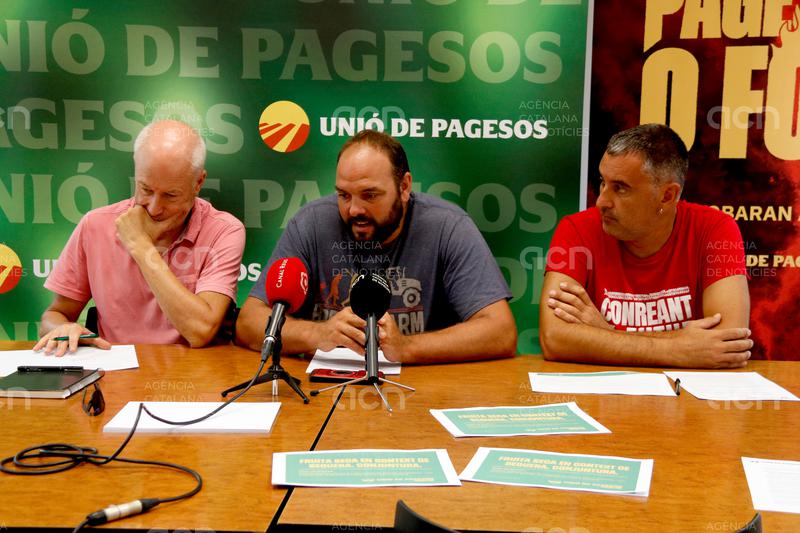 Unió de Pagesos denuncia que Agricultura no donarà ajudes pels efectes de la sequera en l'ametlla de secà i la garrofa
