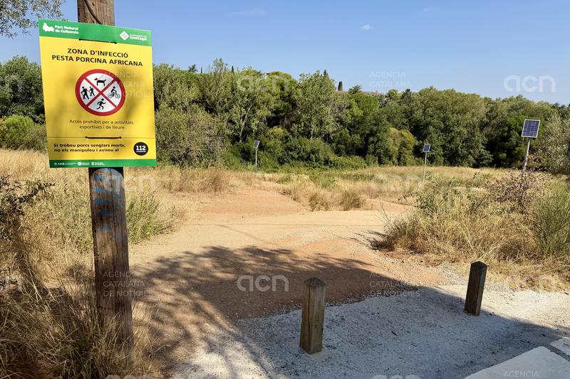 Sant Cugat torna a demanar a la Generalitat que habiliti "espais segurs" a Collserola perquè la ciutadania en faci ús