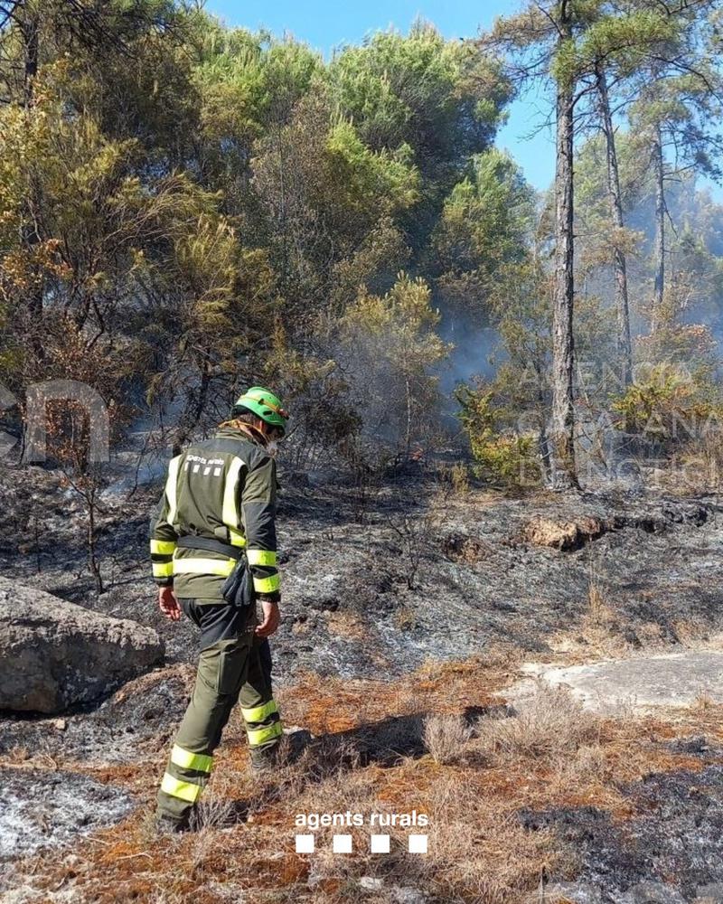 Cinc dotacions dels Bombers treballen en un incendi a Gaià amb el perímetre ja encerclat