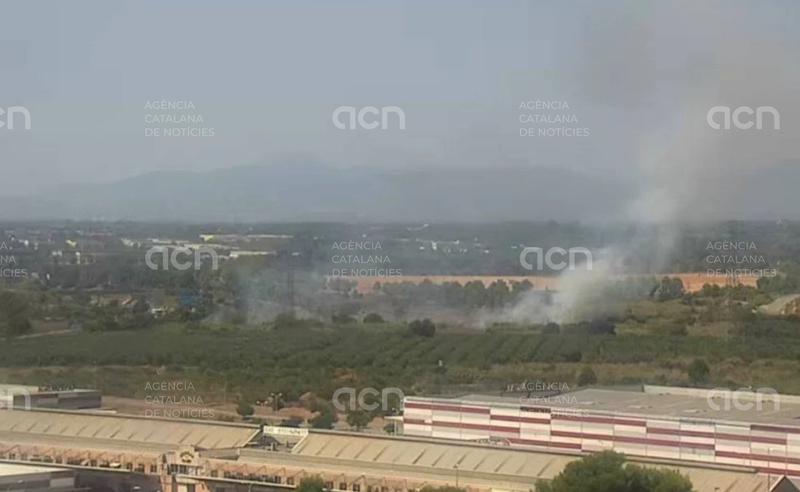 Controlat l’incendi de vegetació a tocar de l’A-7 a Vila-seca