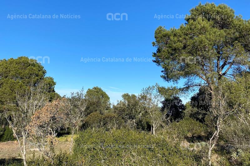 SOS Costa Brava s'oposa a la urbanització de la Font de la Salut de Begur on es preveuen 24 habitatges