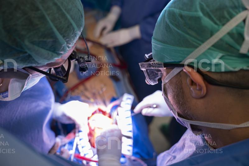 L’Hospital de Bellvitge fa quatre trasplantaments cardíacs i implanta quatre cors artificials en una setmana