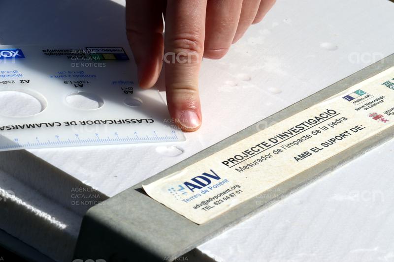 Les primeres comprovacions apunten que la pedregada al Segrià ha tingut poca afectació en fruiters
