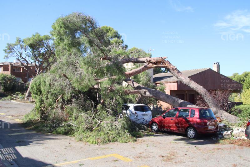 Campistes afectats per la tempesta i calamarsada de Tarragona: "Va ser com un apocalipsi"
