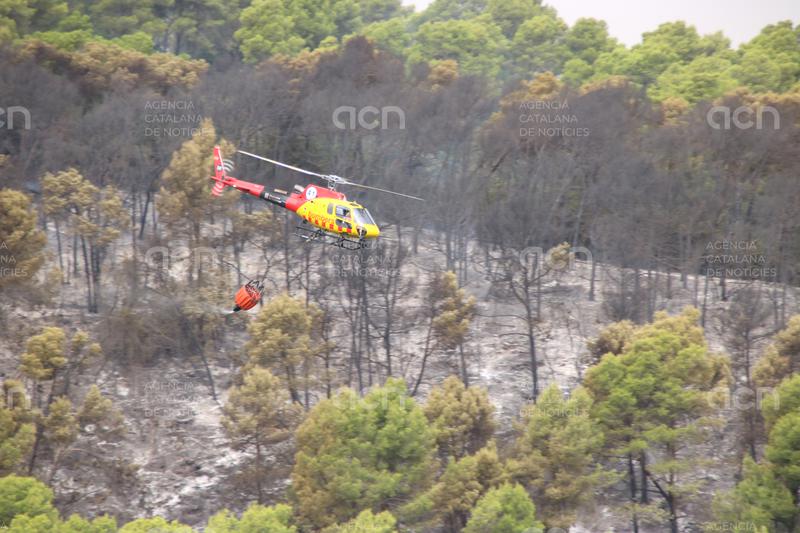 Torre Baró reclama més manteniment després de l'incendi: "Això està deixat de la mà de Déu"