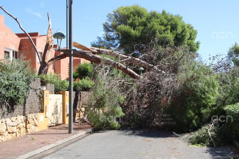 L'Ajuntament de Tarragona reobre els parcs de la ciutat després del temporal