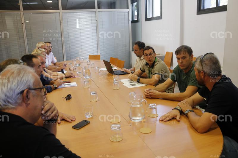 Capturats prop de 8.000 conills en 17 dies a Verdú en l'acció intensiva per controlar la sobrepoblació de l'espècie