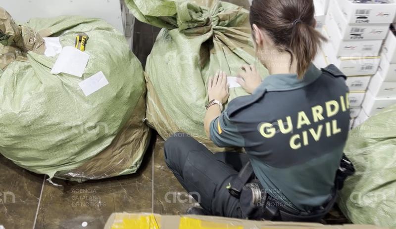 La Guàrdia Civil intervé 40.600 ulleres de sol falsificades en un majorista de Badalona