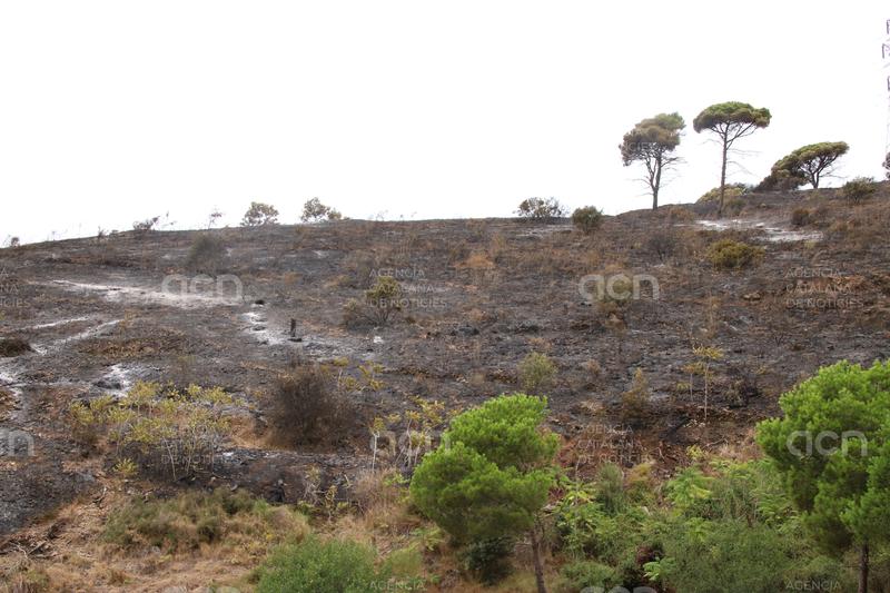 Els Bombers de Barcelona donen per extingit l'incendi forestal de Collserola declarat el 25 d'agost