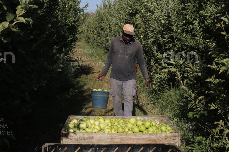 L'atur puja un 5,26% a l'agost a la demarcació de Lleida i l'afiliació s'estanca després del fort augment del juliol