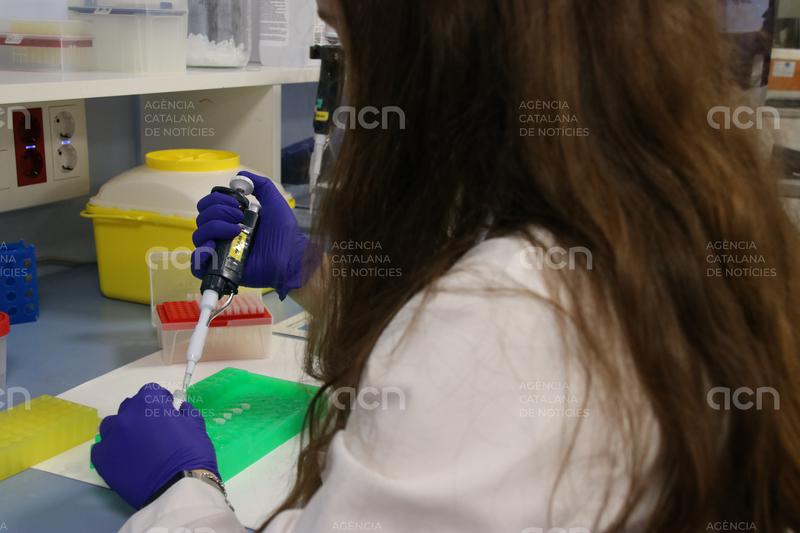 Vall d’Hebron aprofundirà en la investigació d’un tractament tòpic contra la forma més comuna del lupus cutani crònic