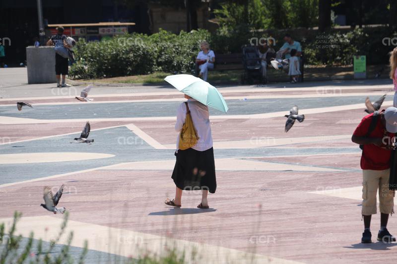 L'Observatori Fabra de Barcelona supera el rècord de temperatura de setembre amb una màxima de 33,6ºC