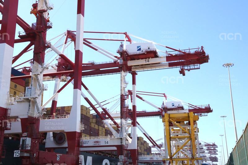 La terminal BEST del port de Barcelona estrena dues grues de 55 metres i set blocs amb una inversió de 130 milions