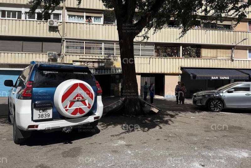 Llibertat amb mesures cautelars per a la mare del nadó trobat mort dins d'una bossa de plàstic a la Mina