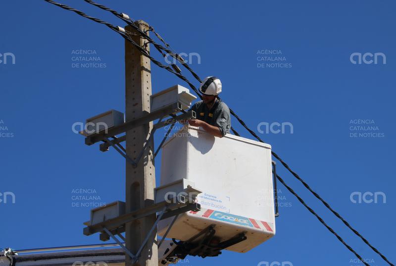 Endesa instal·la 39 noves caixes niu a Mollet de Peralada per potenciar la reproducció del xoriguer petit