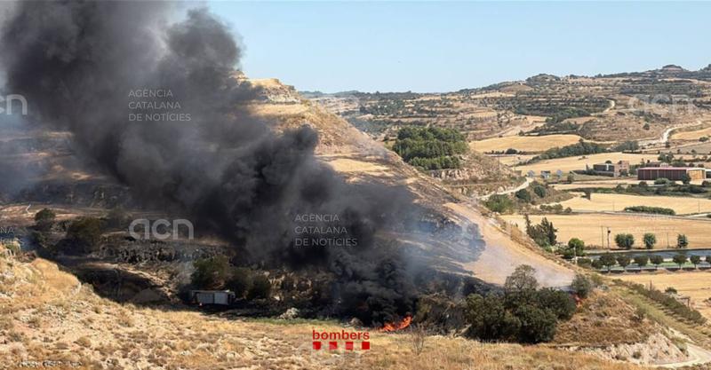 Estabilitzat l'incendi de vegetació a Cervera que ha afectat una caseta d'obres i l'exterior d'una granja