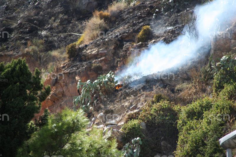 Extingit l'incendi de vegetació declarat aquest dijous a la muntanya de Montjuïc de Barcelona