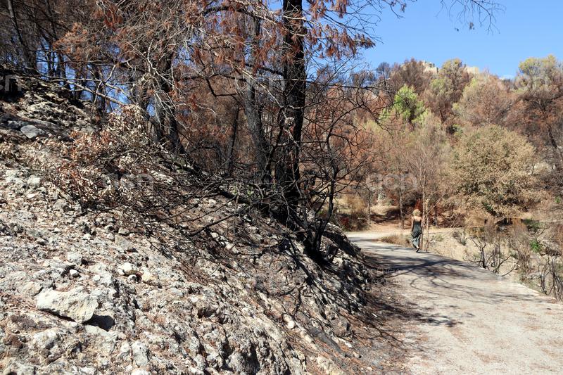 Les feines de restauració de l'incendi de Carme començaran a finals d'any i els propietaris demanen una gestió "global"
