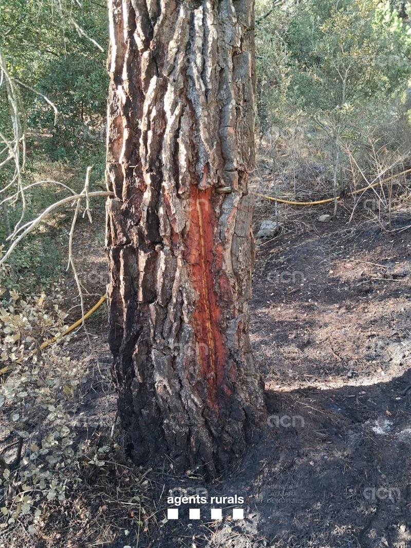 Un incendi ja estabilitzat afecta una superfície de 1.900 m2 de terreny forestal a Tagamanent